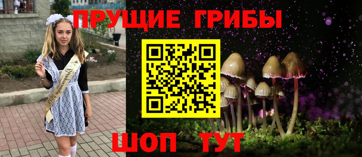 Южноуральск  Псилоцибиновые грибы Magic Shrooms  Вход с VPN  Псилоцибиновые грибы Psilocybine cubensis 
